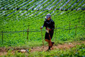 BIB: 
                            <button type="button" onclick="openModal(19164633)" class="btn btn-primary btn-sm float-right btn-popup" data-toggle="modal" data-target=".modal-high-quality">
                        <i class="fas fa-shopping-cart"></i> Add to Cart
                    </button>
                                            <button type="button" onclick="isThisMe(19164633, true)" class="btn btn-success btn-sm float-right btn-popup btn-isme hidden" data-toggle="tooltip" data-placement="bottom" title="นี่คือรูปของคุณใช่ไหม คลิกที่นี่เพื่อเอาเข้าอัลบั้ม">
                        <i class="fas fa-plus"></i> Add to album
                    </button>
                    <button type="button" onclick="isThisMe(19164633, false)" class="btn btn-warning btn-sm float-right btn-popup btn-isnotme hidden">
                        <i class="fas fa-ban"></i> Remove from album
                    </button>